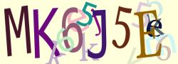 Retype the CAPTCHA code from the image
